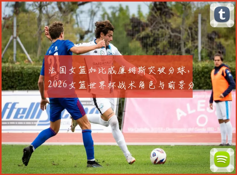 法国女篮加比威廉姆斯突破分球，2026女篮世界杯战术角色与前景分析