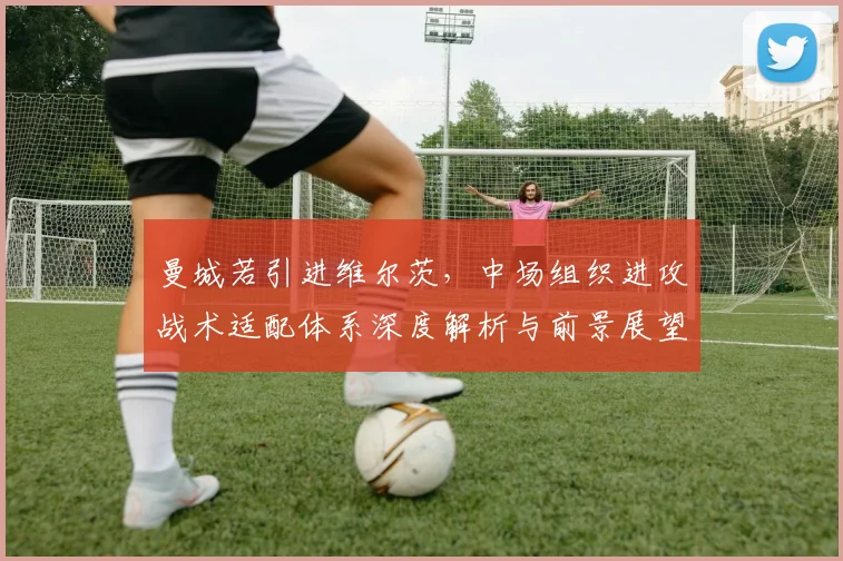 曼城若引进维尔茨，中场组织进攻战术适配体系深度解析与前景展望