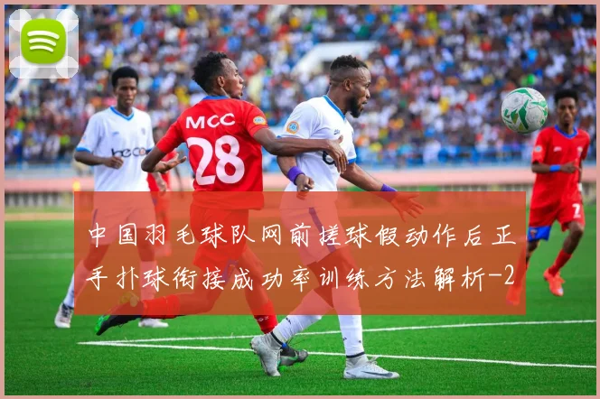 中国羽毛球队网前搓球假动作后正手扑球衔接成功率训练方法解析