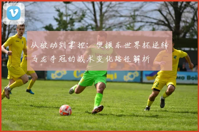 从被动到掌控：樊振东世界杯逆转马龙夺冠的战术变化路径解析