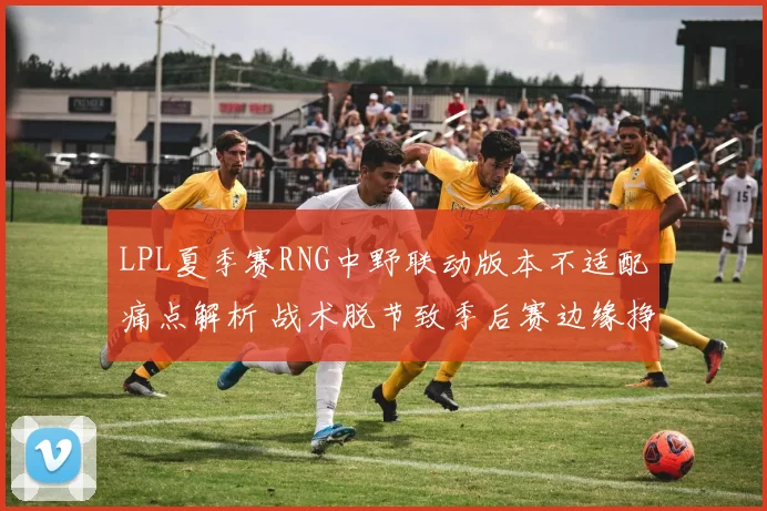 LPL夏季赛RNG中野联动版本不适配痛点解析 战术脱节致季后赛边缘挣扎